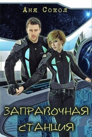 обложка книги Новый кот на заправочной станции (СИ) - Анна Сокол