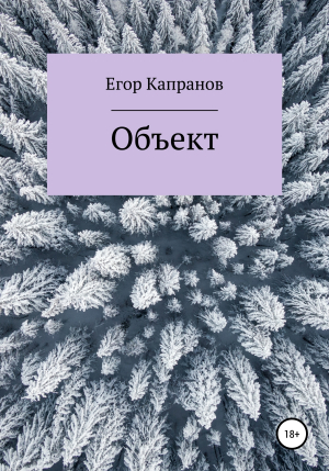 обложка книги Объект - Егор Капранов