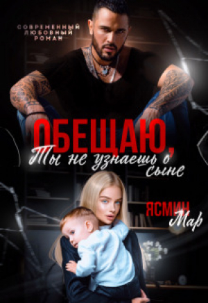 обложка книги Обещаю, ты не узнаешь о сыне (СИ) - Ясмин Мар