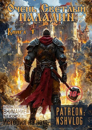обложка книги Очень Светлый Паладин, Книга 1 (СИ) - NShVlog
