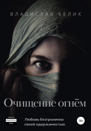 обложка книги Очищение огнем - Владислав Белик