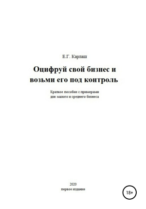 обложка книги Оцифруй свой бизнес и возьми его под контроль - Екатерина Карлаш