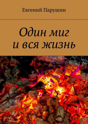 обложка книги Один миг и вся жизнь - Евгений Парушин