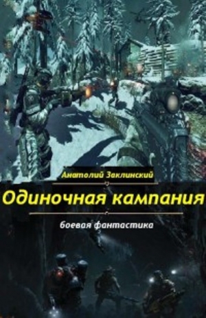 обложка книги Одиночная кампания - Анатолий Заклинский