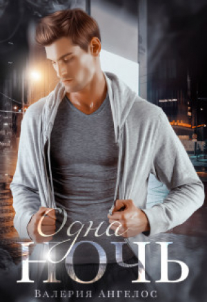 обложка книги Одна ночь (СИ) - Валерия Ангелос