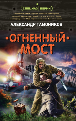 обложка книги Огненный мост - Александр Тамоников