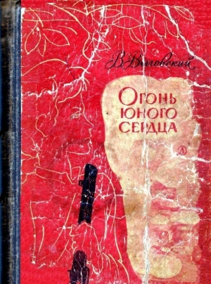 обложка книги Огонь юного сердца - Владимир Выговский