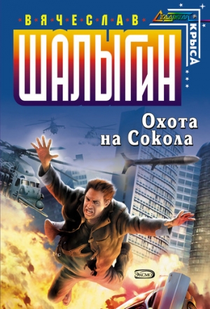 обложка книги Охота на Сокола - Вячеслав Шалыгин