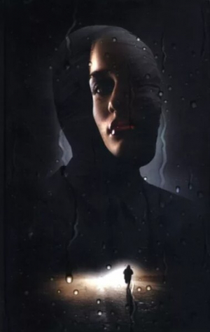 обложка книги Охота за тенью - Якоб Ведельсбю