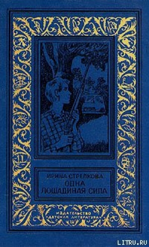 обложка книги Опять Киселев - Ирина Стрелкова