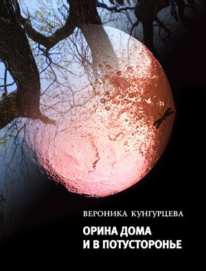 обложка книги Орина дома и в Потусторонье - Вероника Кунгурцева