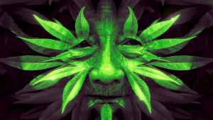 обложка книги Ошеломительный сюрприз - Анна Мурашкина