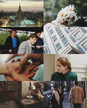 обложка книги Осколки Неба (СИ) - Alexandrine Younger