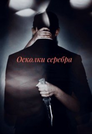 обложка книги Осколки серебра (СИ) - Paulina Shy