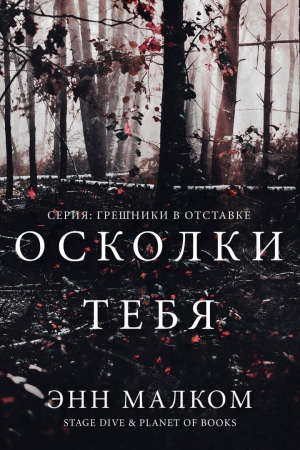 обложка книги Осколки тебя (ЛП) - Энн Малком