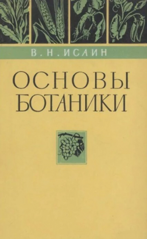 обложка книги Основы ботаники (Учебник для подготовки массовых сельскохозяйственных кадров в профессионально-технических училищах и на производстве, 2-е изд.) - Владимир Исаин