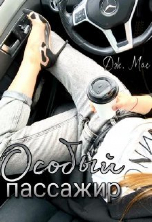 обложка книги Особый пассажир (СИ) - Дж. Мас