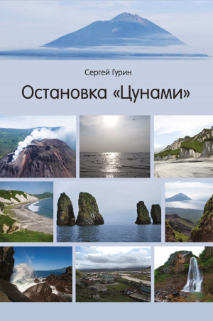 обложка книги Остановка «Цунами» - Сергей Гурин