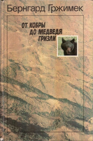 обложка книги От кобры до медведя гризли - Бернхард Гржимек