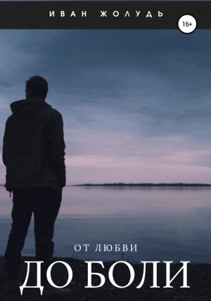 обложка книги От любви до боли - Иван Жолудь