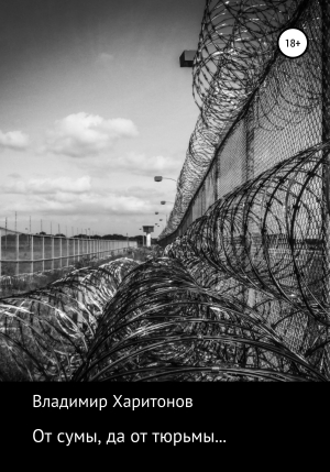 обложка книги От сумы, да от тюрьмы - Владимир Харитонов