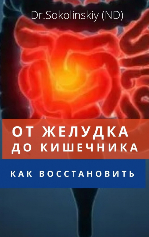 обложка книги От желудка до кишечника: как восстановить (СИ) - Владимир Соколинский