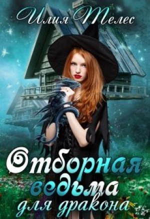 обложка книги Отборная ведьма для дракона (СИ) - Настя Ильина