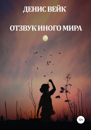 обложка книги Отзвук иного мира - Денис Вейк