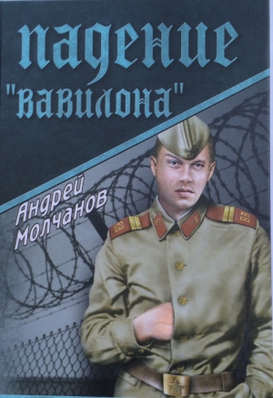 обложка книги Падение «Вавилона» - Андрей Молчанов