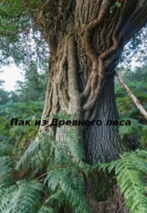 обложка книги Пак из Древнего леса (СИ) - Алена