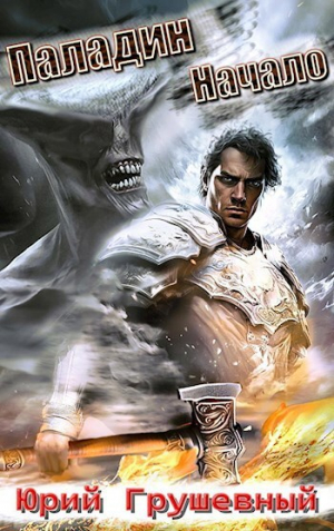 обложка книги Паладин. Начало (СИ) - Юрий Грушевный