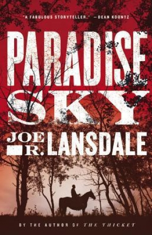 обложка книги Paradise Sky - Joe R. Lansdale