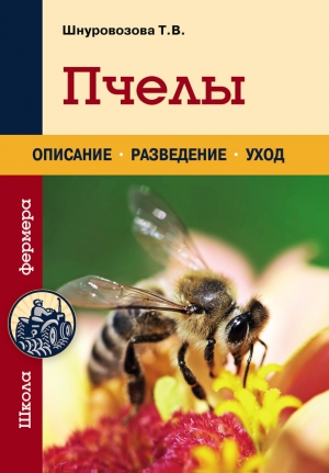 обложка книги Пчелы - Татьяна Шнуровозова