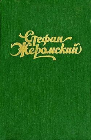 обложка книги Пепел - Стефан Жеромский