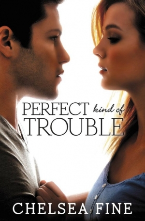 обложка книги Perfect Kind Of Trouble - Chelsea Fine