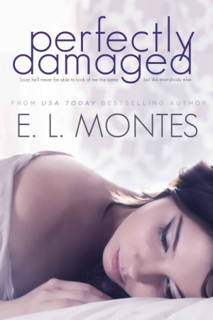обложка книги Perfectly Damaged - E. L. Montes