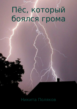 обложка книги Пёс, который боялся грома - Никита Поляков