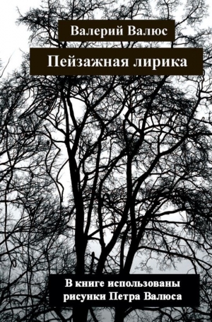 обложка книги Пейзажная лирика - Валерий Валюс