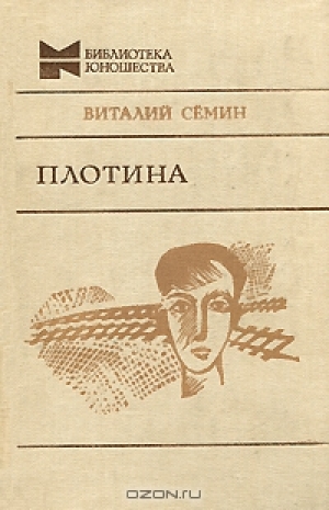 обложка книги Плотина - Виталий Семин