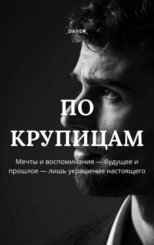 обложка книги По крупицам (СИ) - _Dayen_
