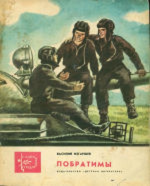 обложка книги Побратимы - Василий Изгаршев