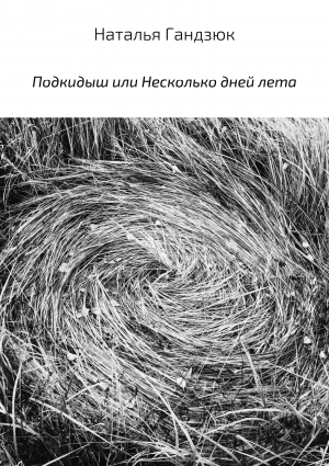обложка книги Подкидыш, или Несколько дней лета - Наталья Гандзюк
