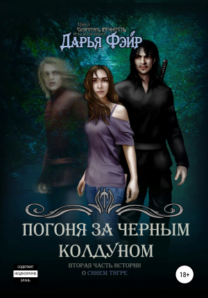 обложка книги Погоня за чёрным колдуном - Дарья Фэйр