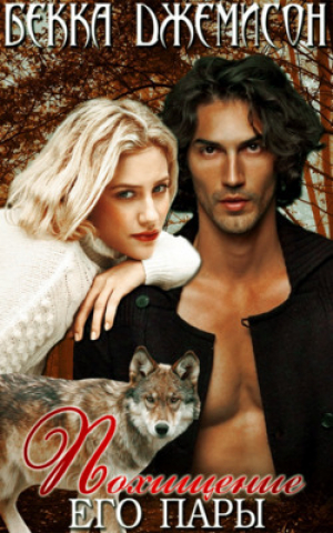обложка книги Похищение его пары (ЛП) - Бекка Джемисон