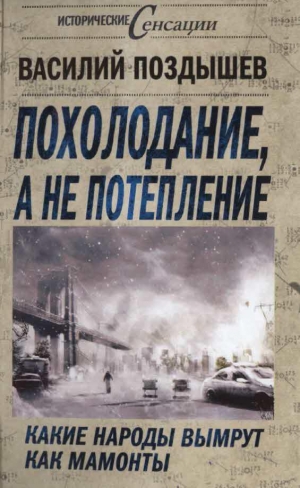 обложка книги Похолодание, а не потепление - Василий Поздышев