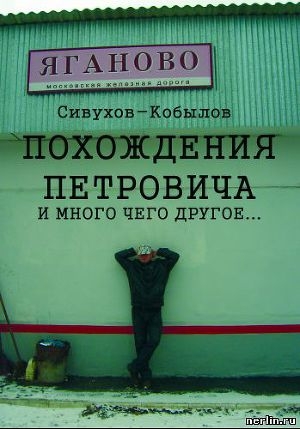 обложка книги Похождения Петровича и много чего другое… - Игорь Гамазин