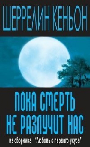 обложка книги Пока смерть не разлучит нас (ЛП) - Шеррилин Кеньон