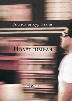 обложка книги Полёт шмеля - Анатолий Курчаткин