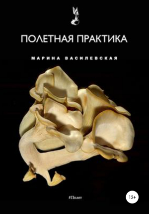 обложка книги Полетная практика - Марина Василевская