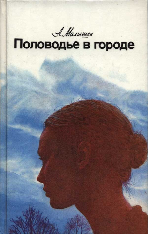 обложка книги Половодье в городе - Александр Малышев